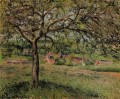 Manzano en Eragny 1884 Camille Pissarro